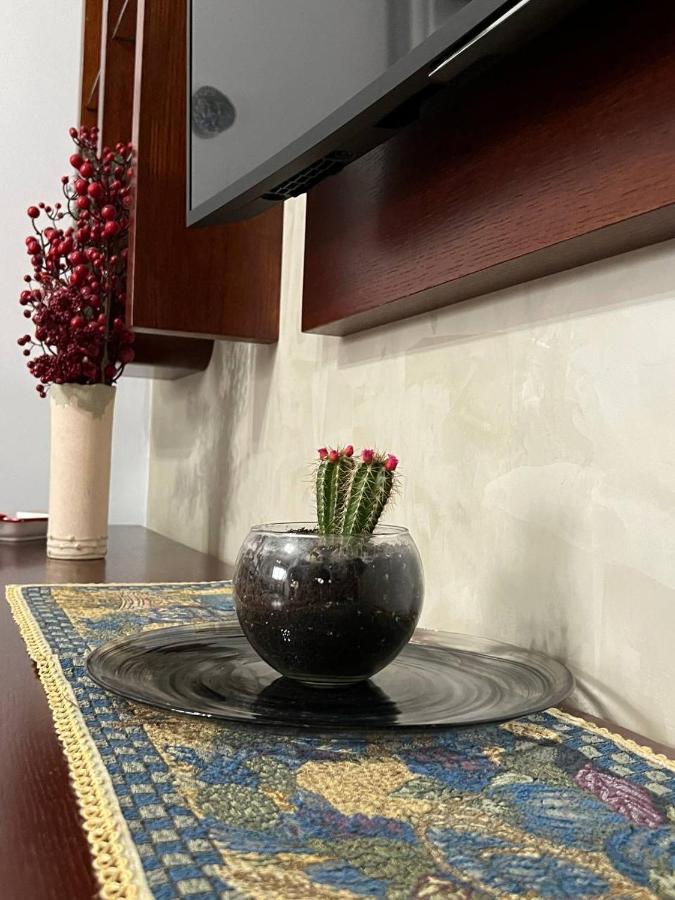 דירות טיראנה Cozy Nest Ledi מראה חיצוני תמונה